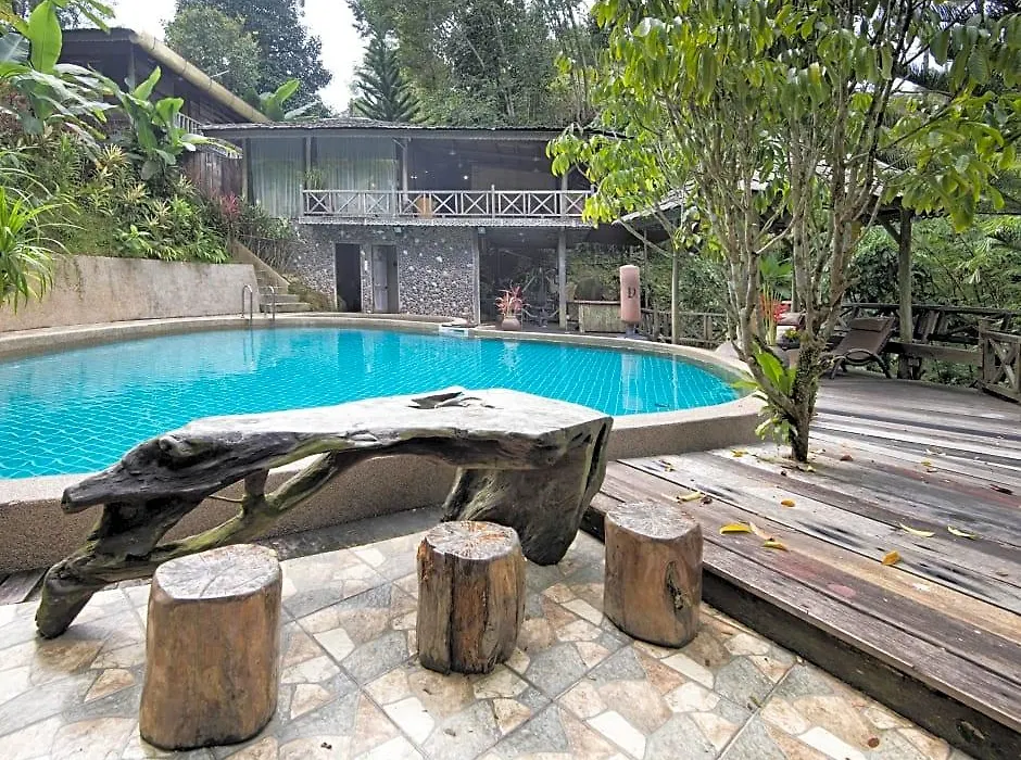 Fig Tree Hills Resort-1