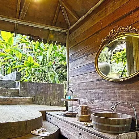 Fig Tree Hills Resort-3