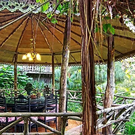 Fig Tree Hills Resort-2